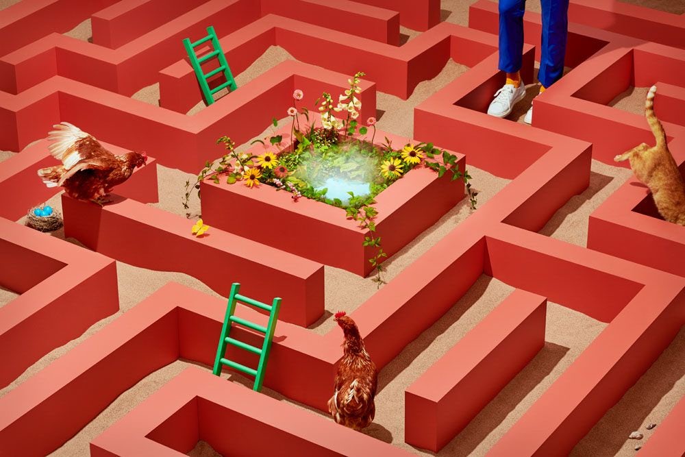 A surreal image of chickens and a cat navigating a three-dimensional labyrinth made of red walls, with a small oasis-like water feature at the center.