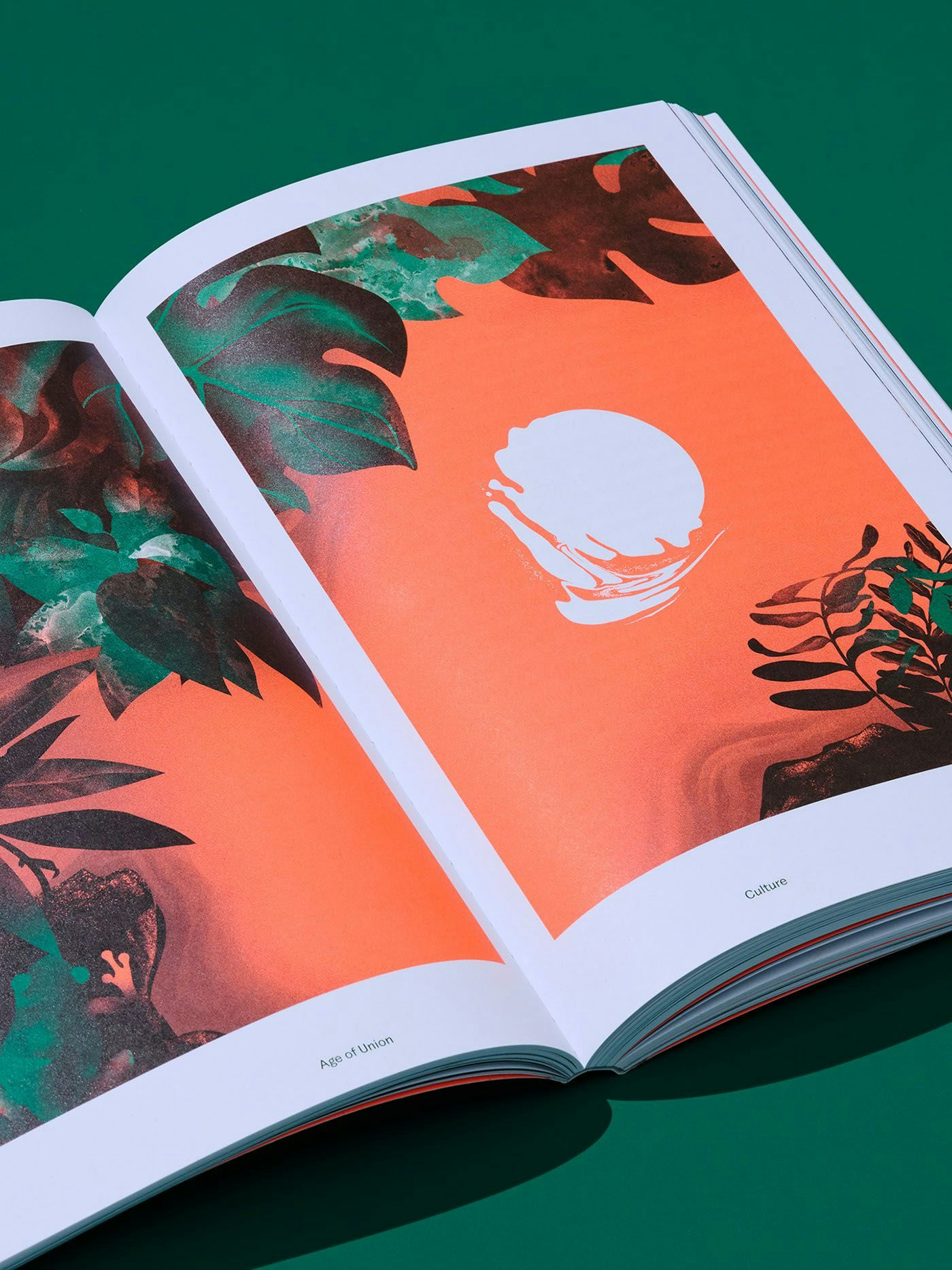  Open book showcasing an orange page with a white circular design and leafy shadows, from "Age of Union."