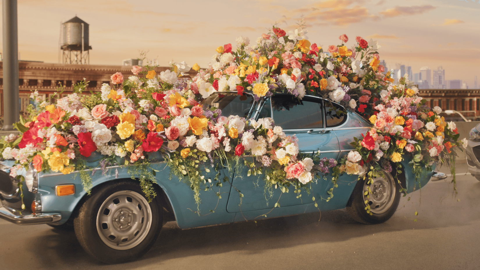 car_flowers.png