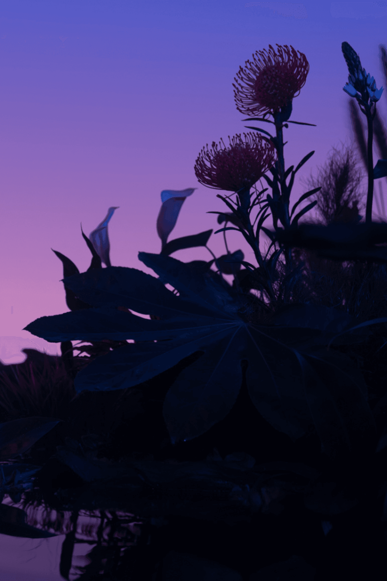 Untitled design (2).png