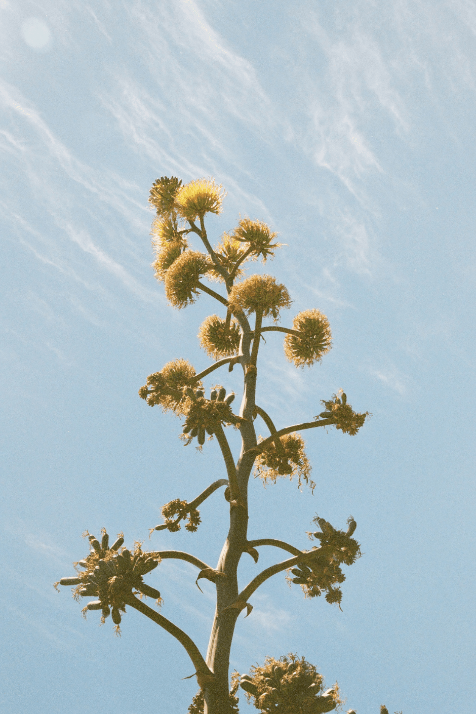 Untitled design (2).png